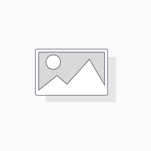 AC FILTER - FB2